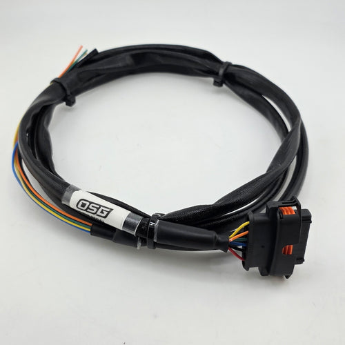 DBW Pedal Harness (Bosch) - 6ft Unterminated